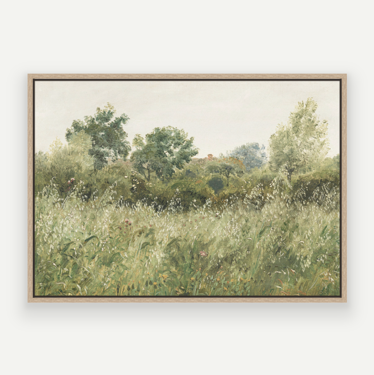 Wild Field