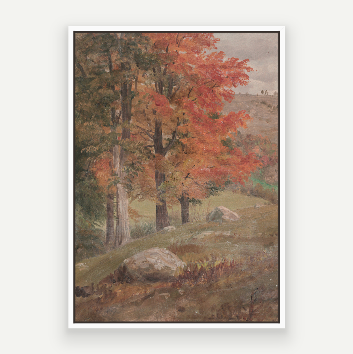 Fall View