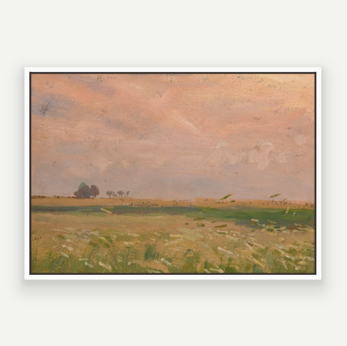 Candyfloss Fields