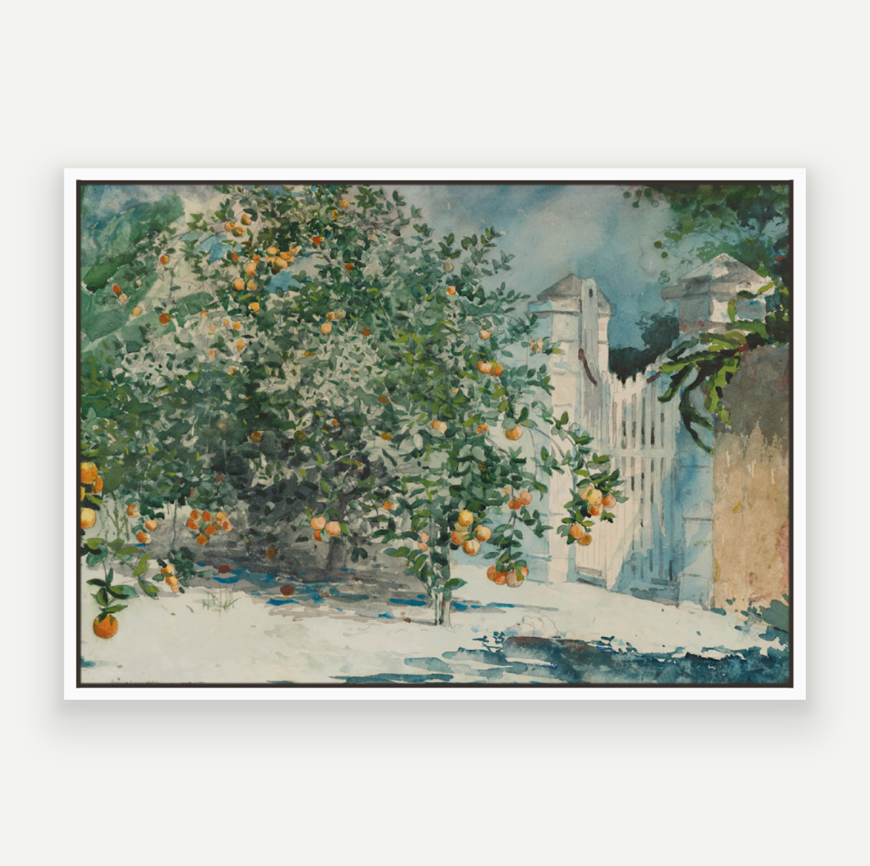 Orange Grove