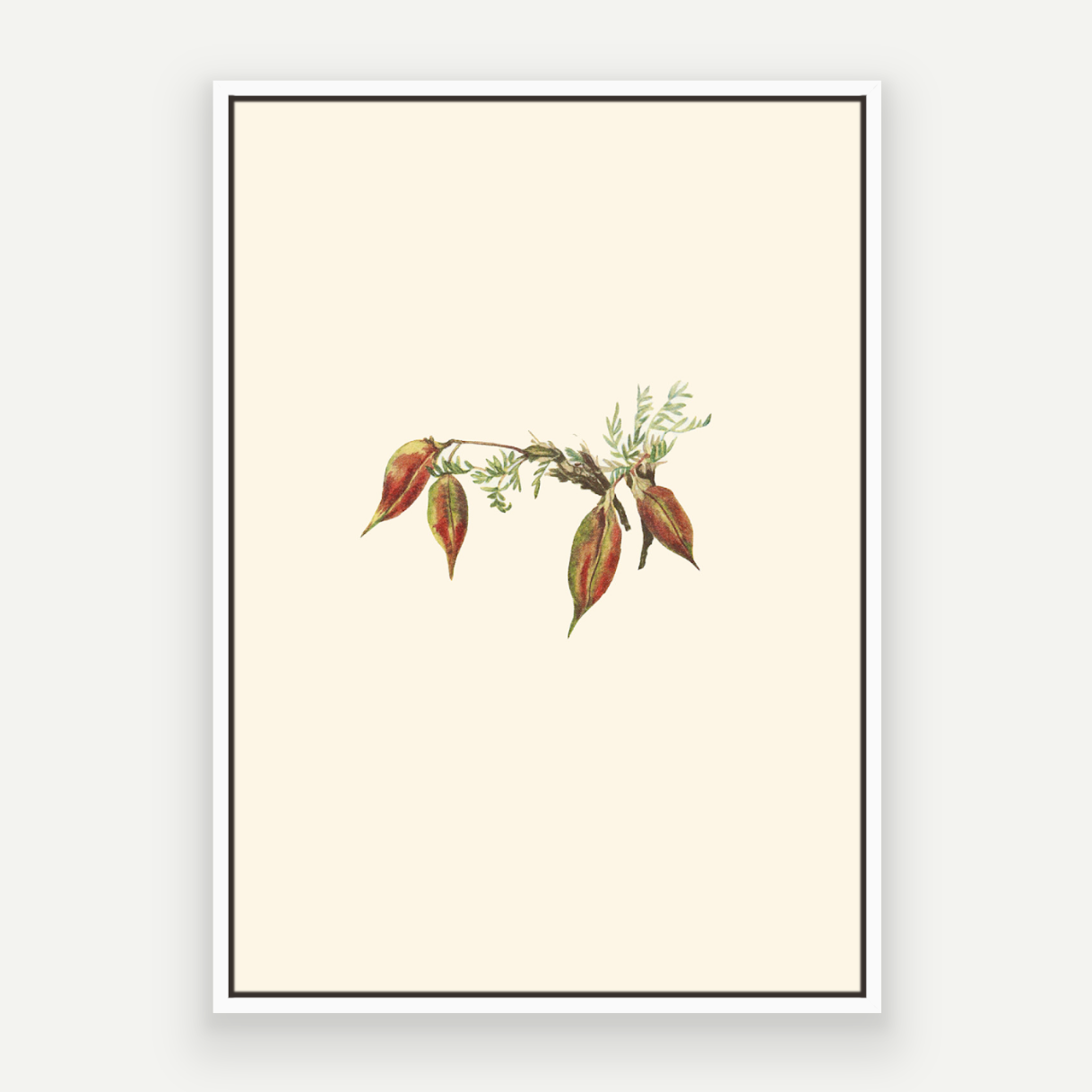 Autumn Buds