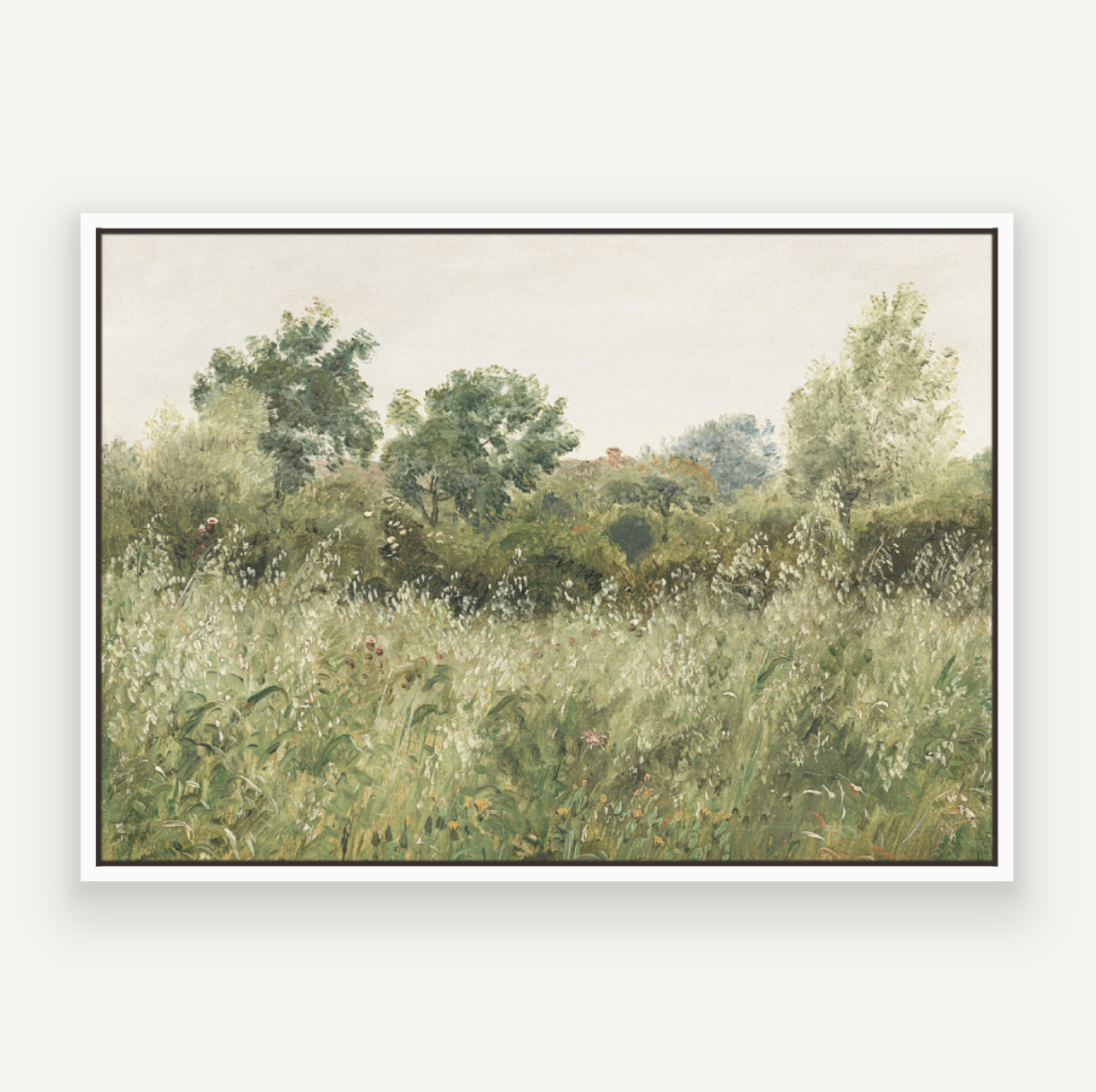 Wild Field