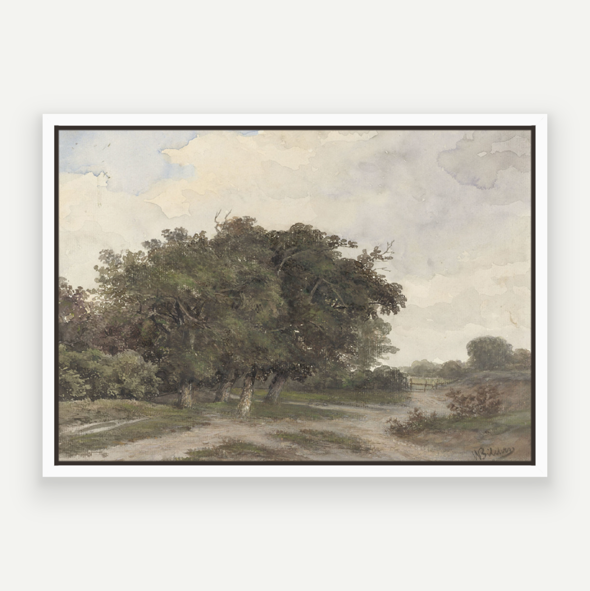 Country Drive