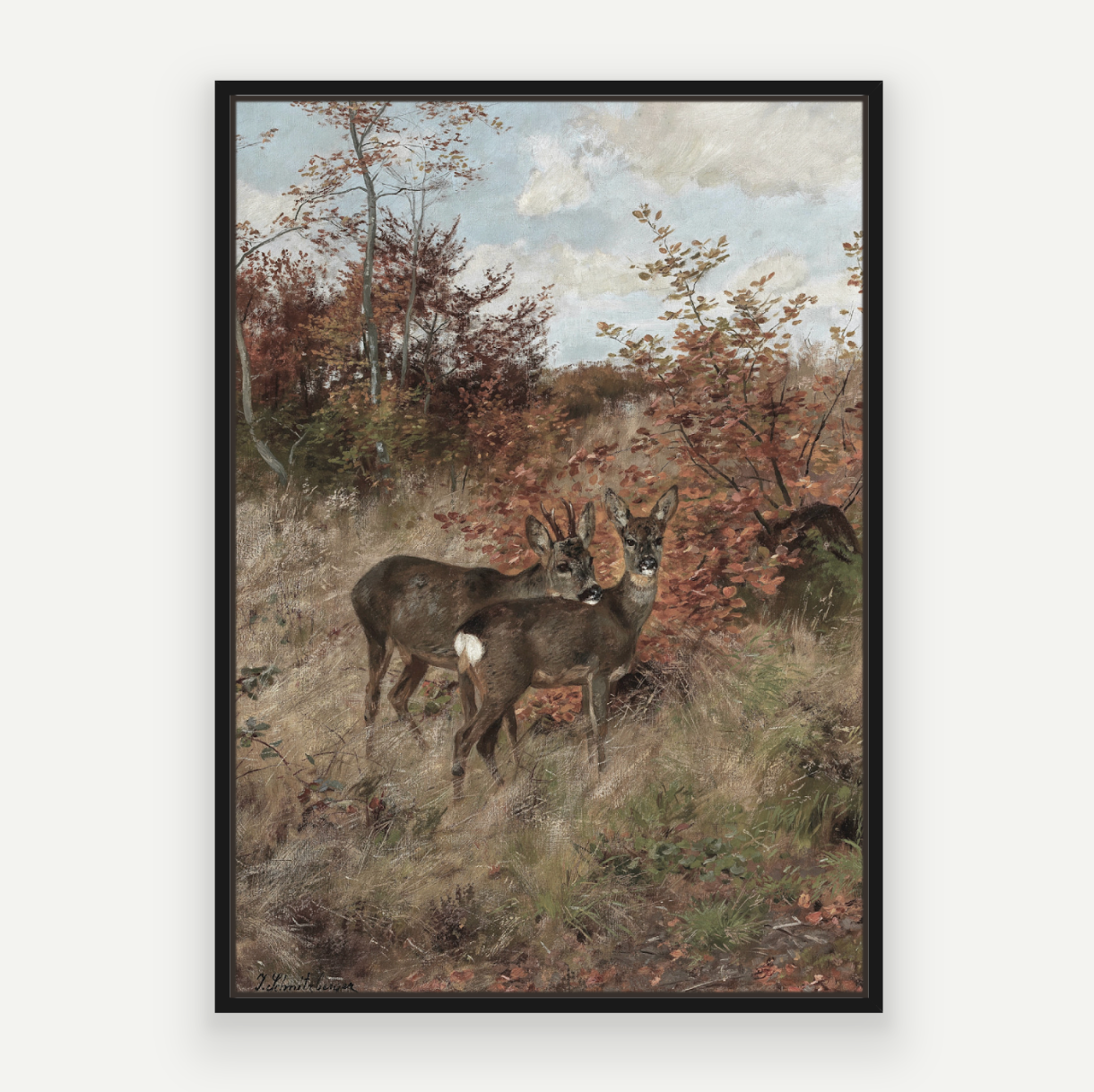 Wild Deer