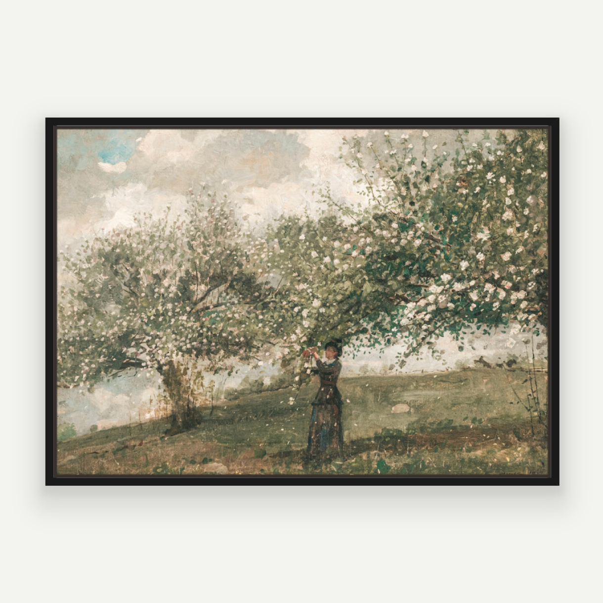 Spring Blossom