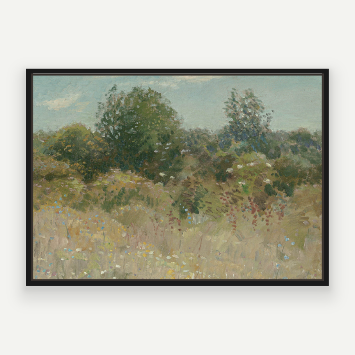 Colour Field