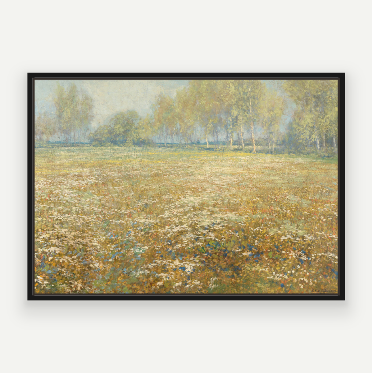 Meadow in Bloom