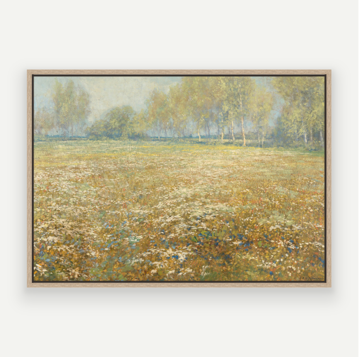 Meadow in Bloom