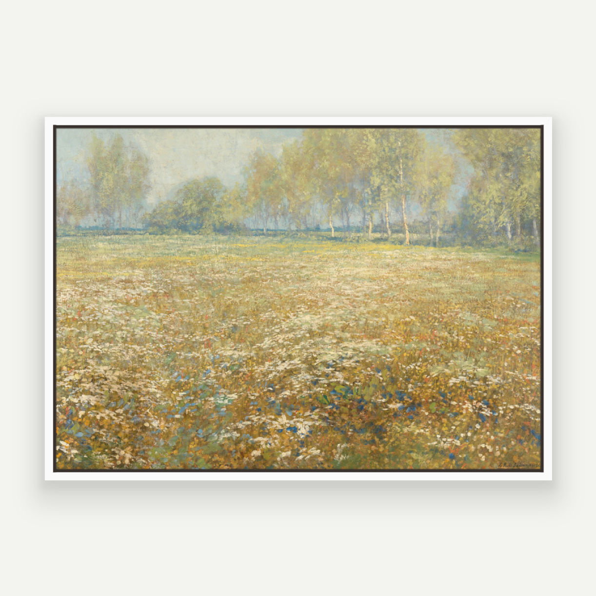 Meadow in Bloom