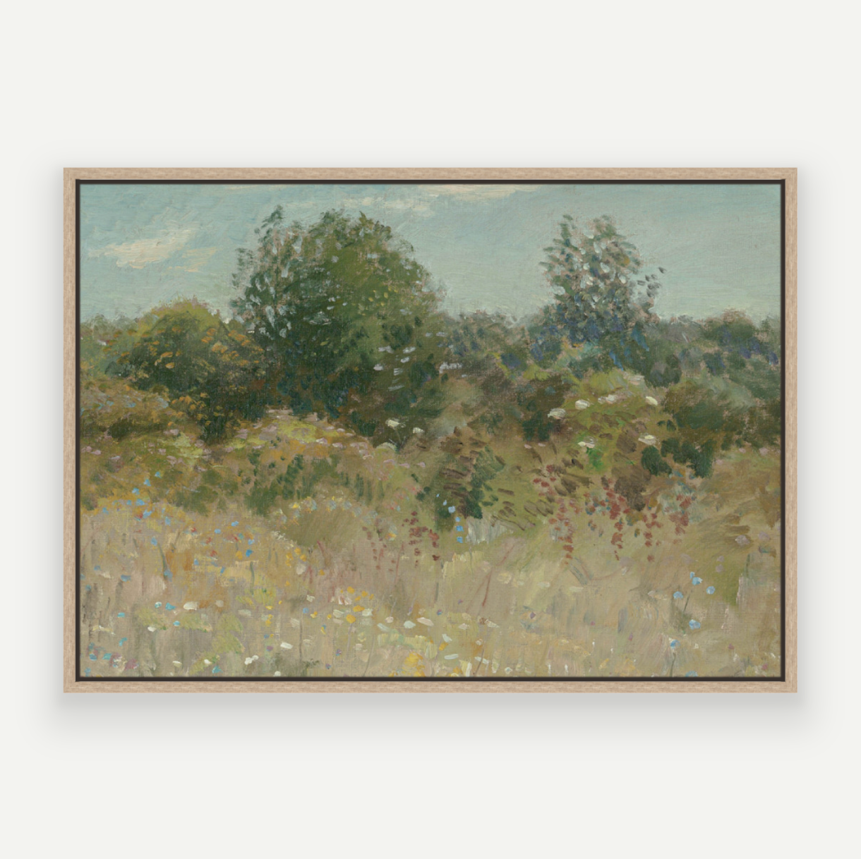 Colour Field