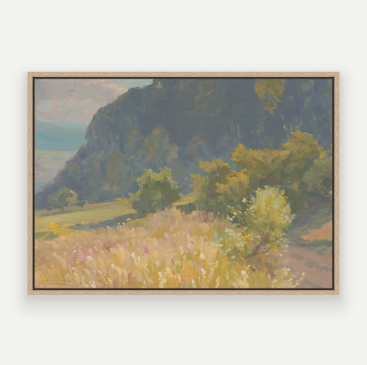 Colour Hills I