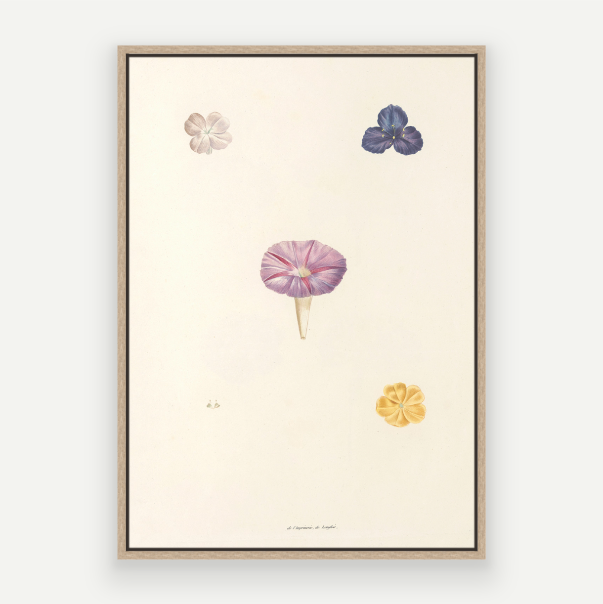 Petals Pair
