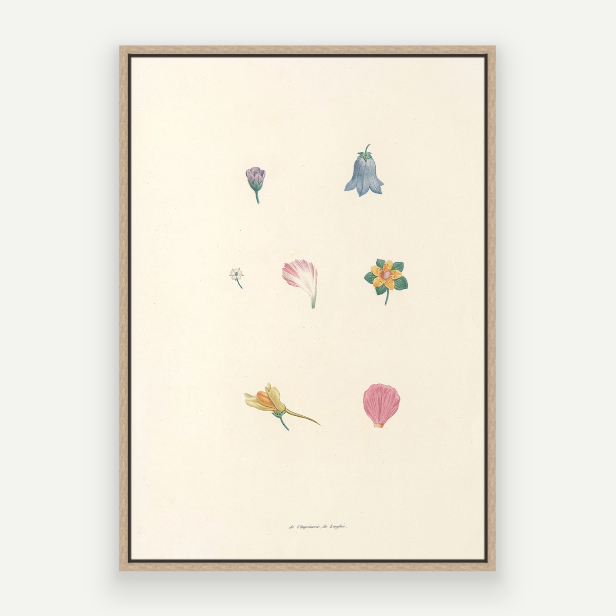 Petals Pair