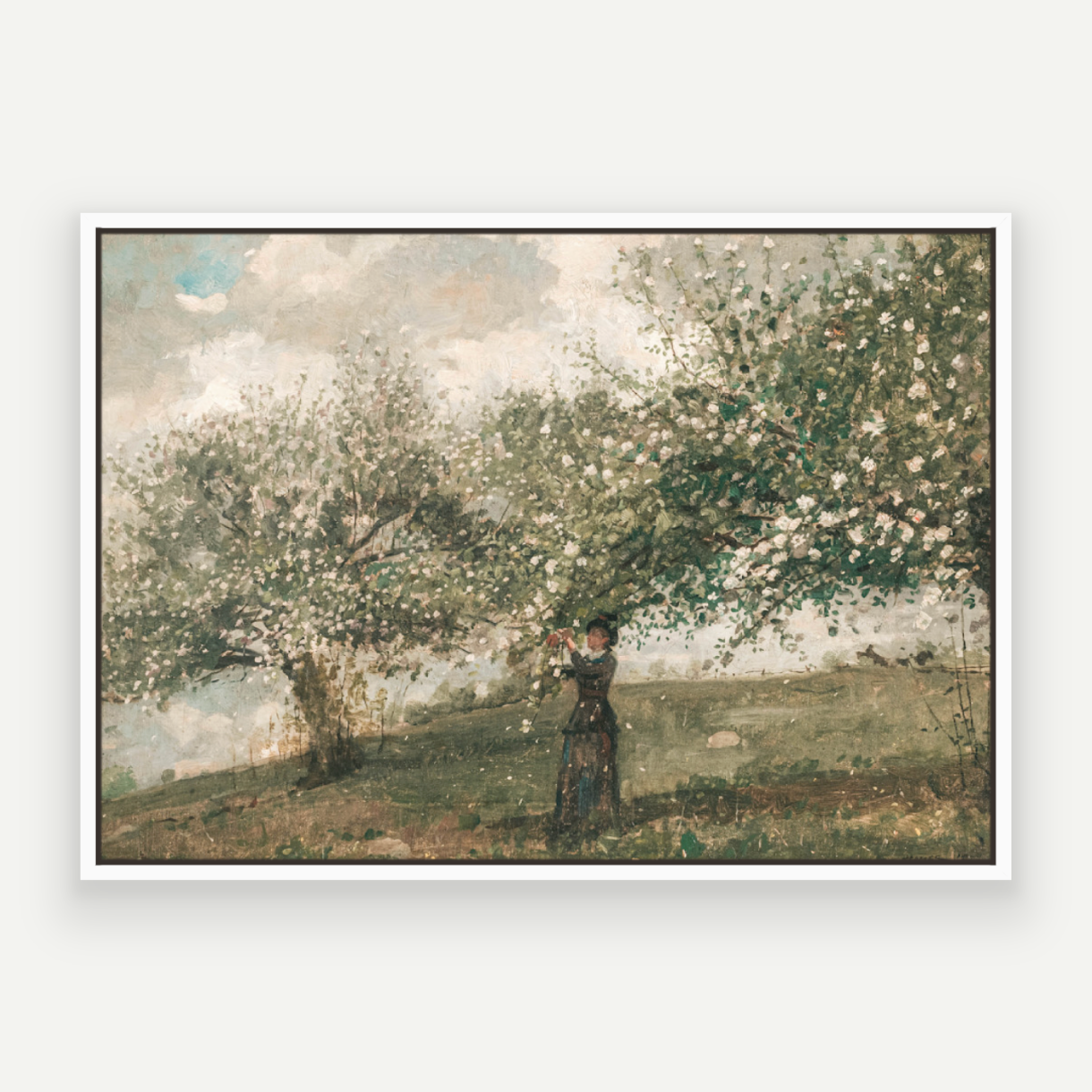 Spring Blossom