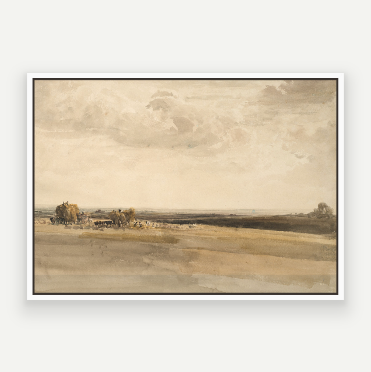 Harvest Scene
