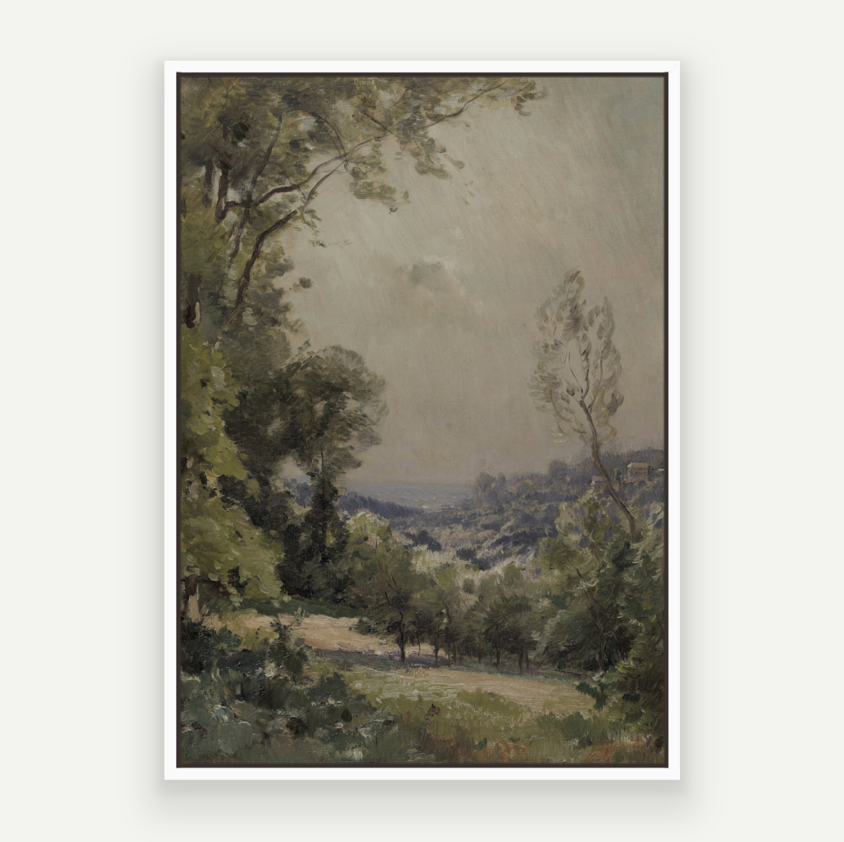 Forest View