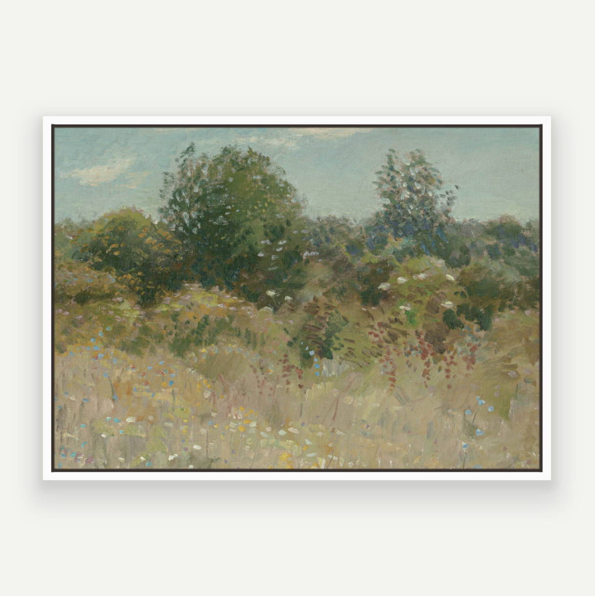 Colour Field