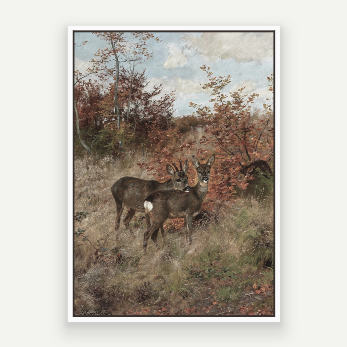 Wild Deer