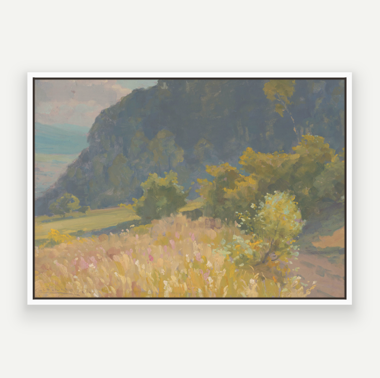 Colour Hills I