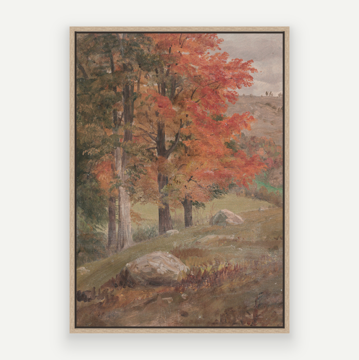 Fall View