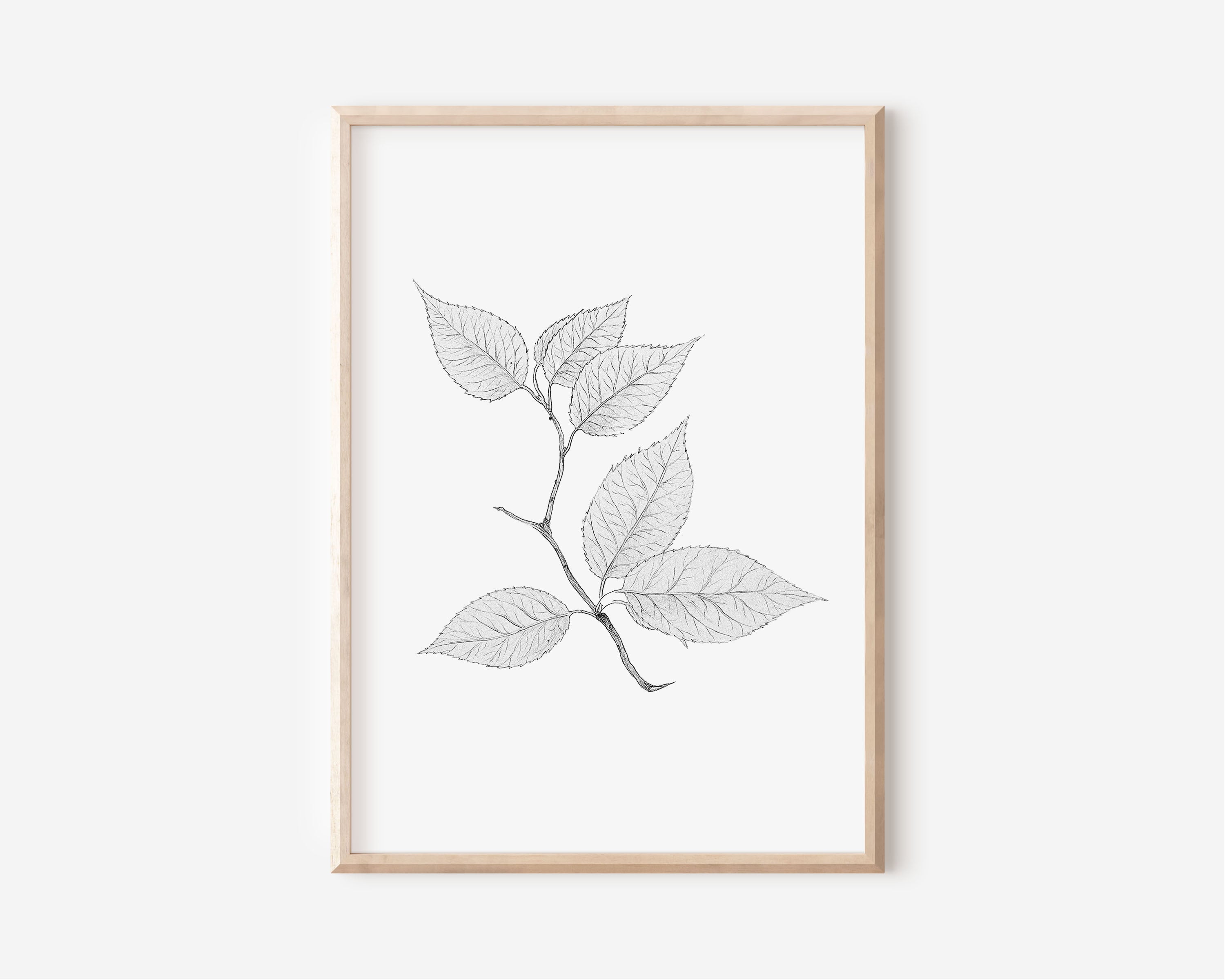 Cherry Leaves