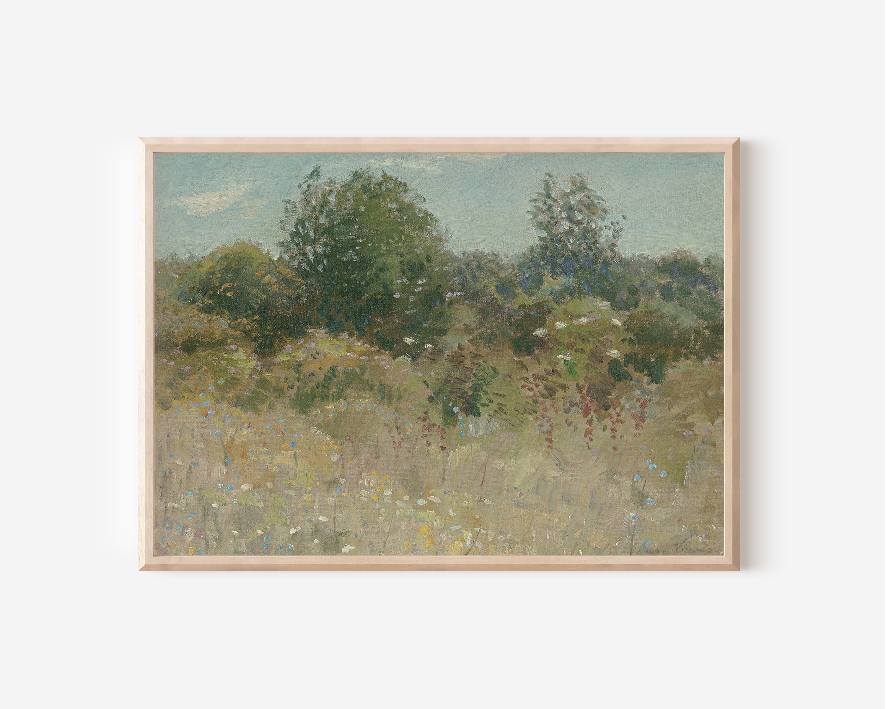 Colour Field