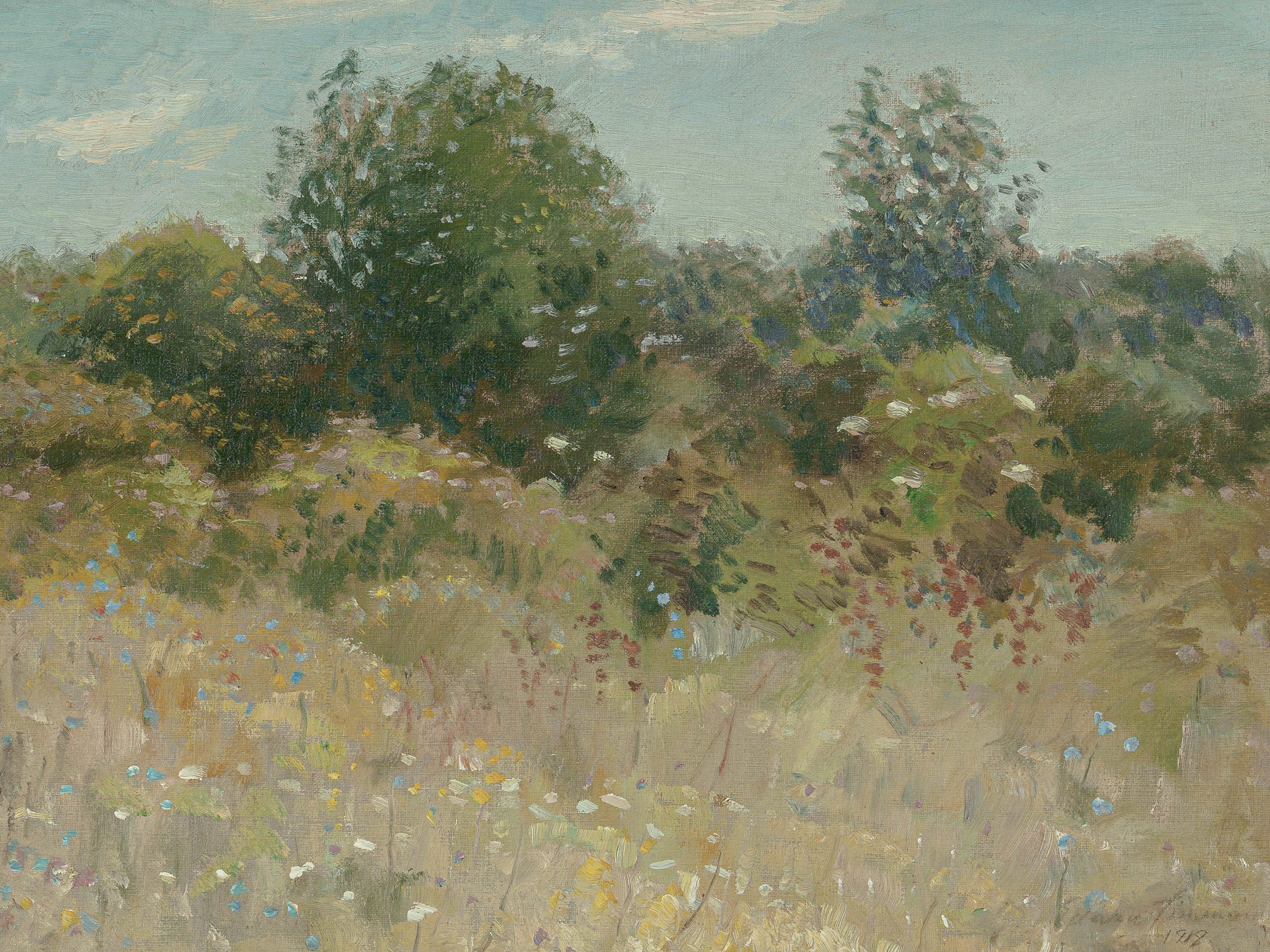 Colour Field