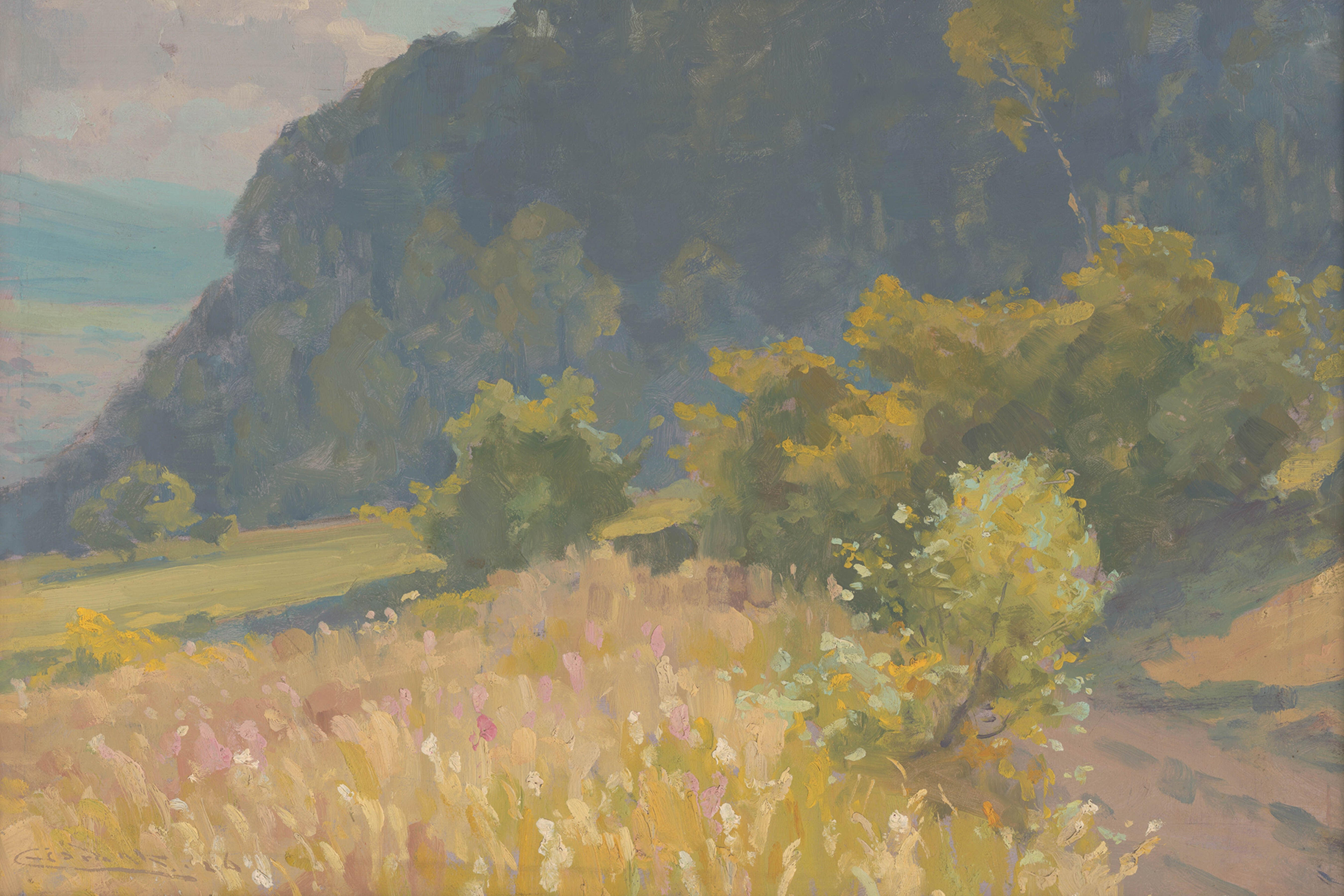 Colour Hills I