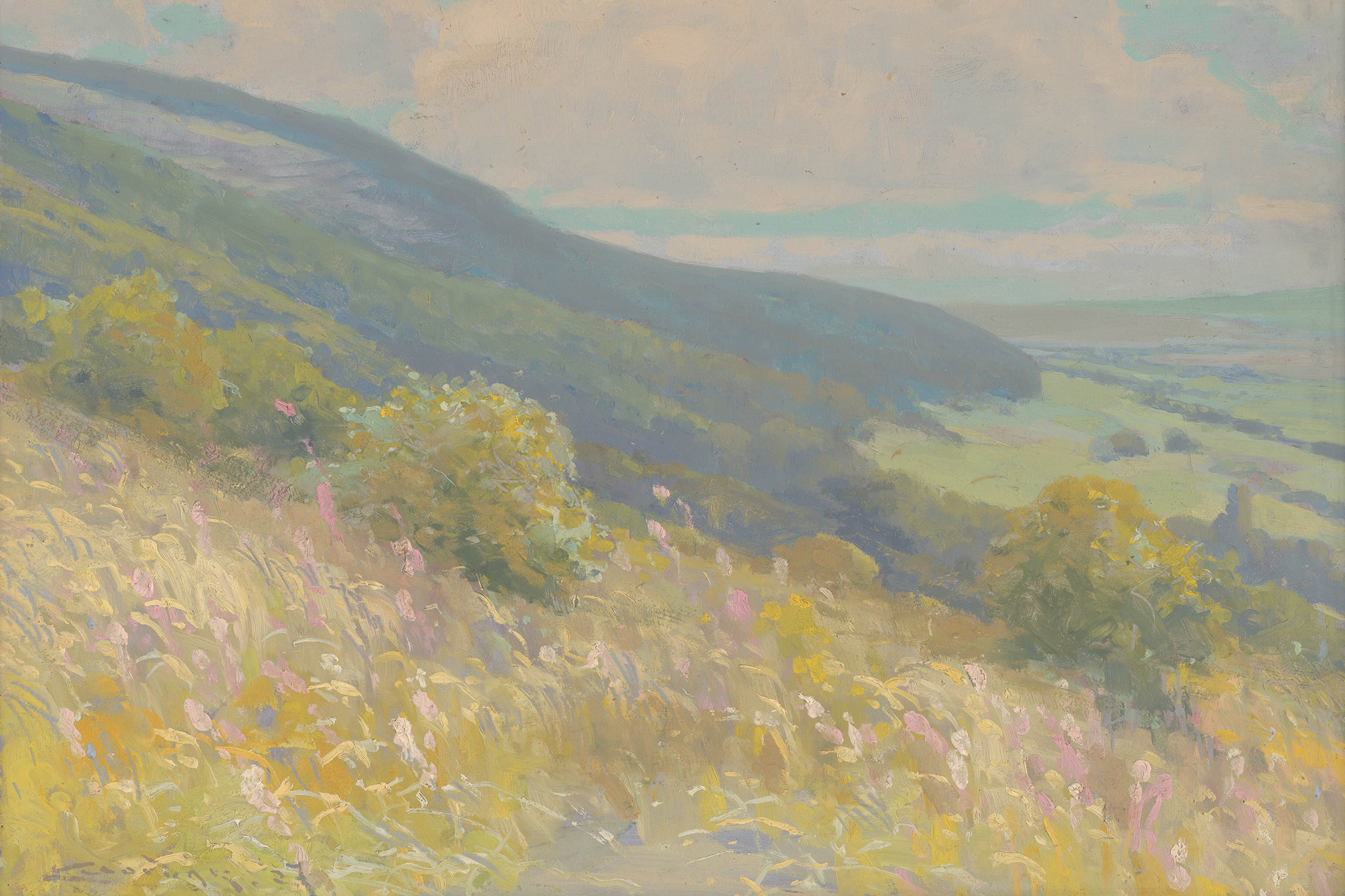 Colour Hills II