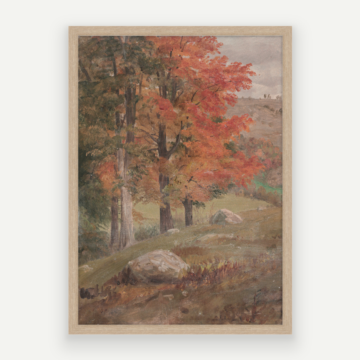 Fall View