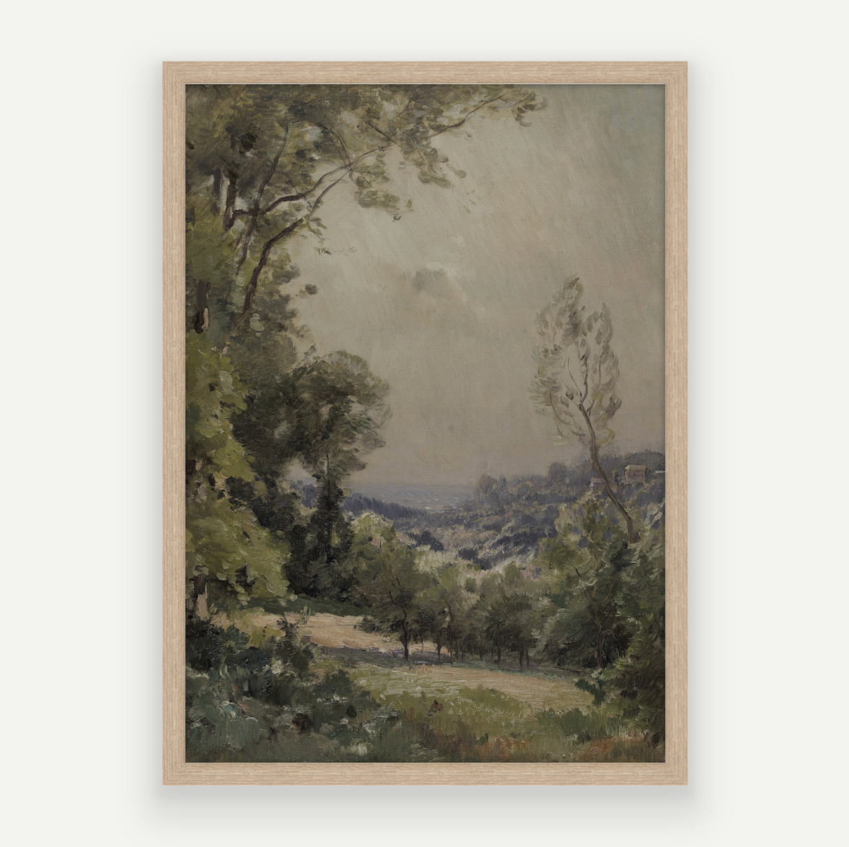 Forest View