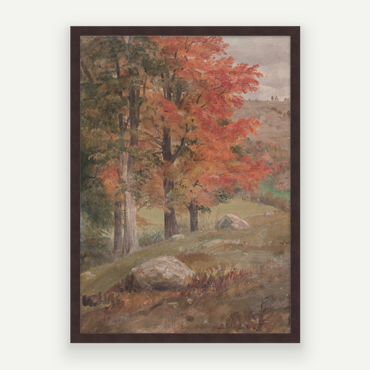 Fall View