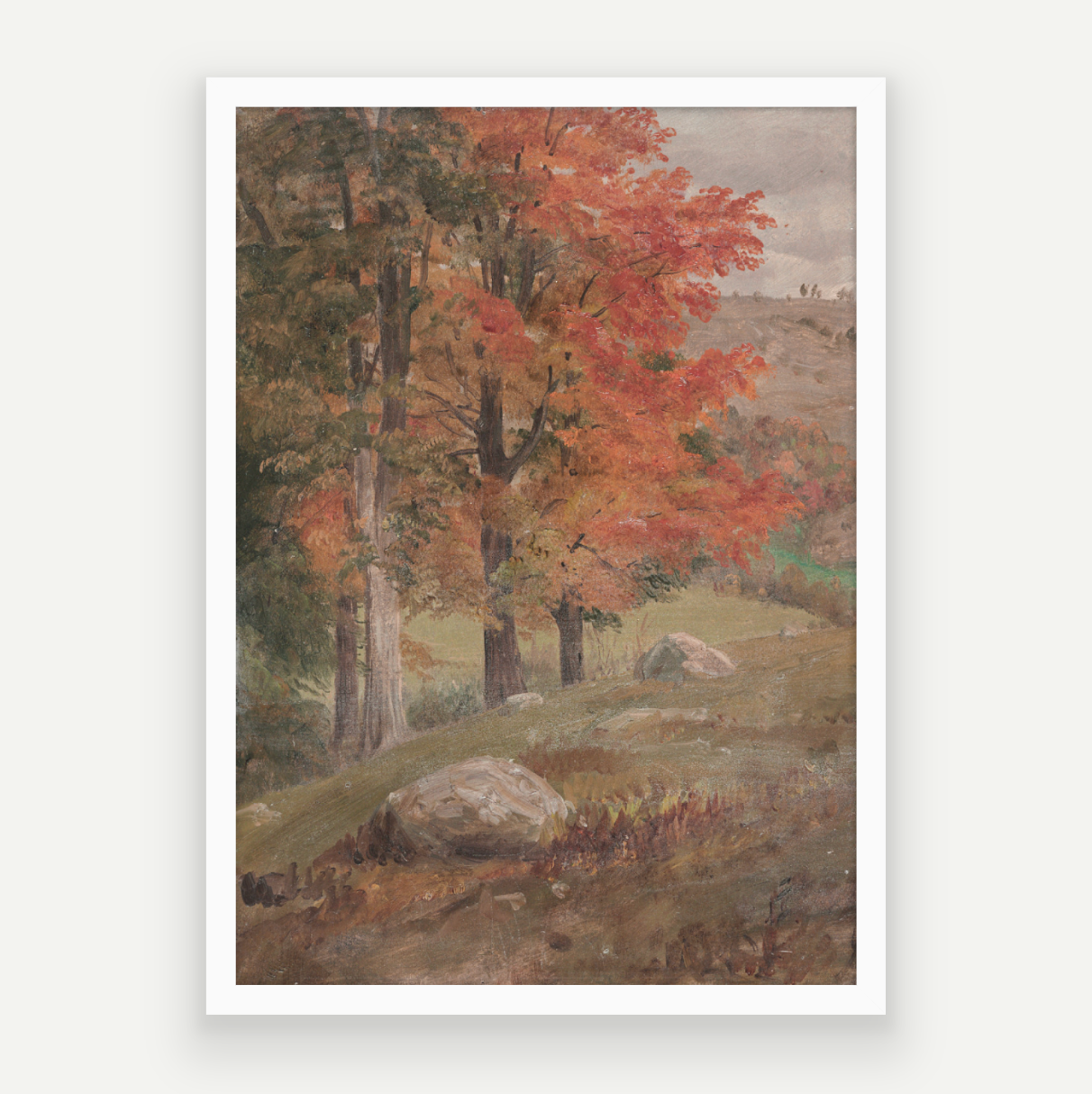 Fall View