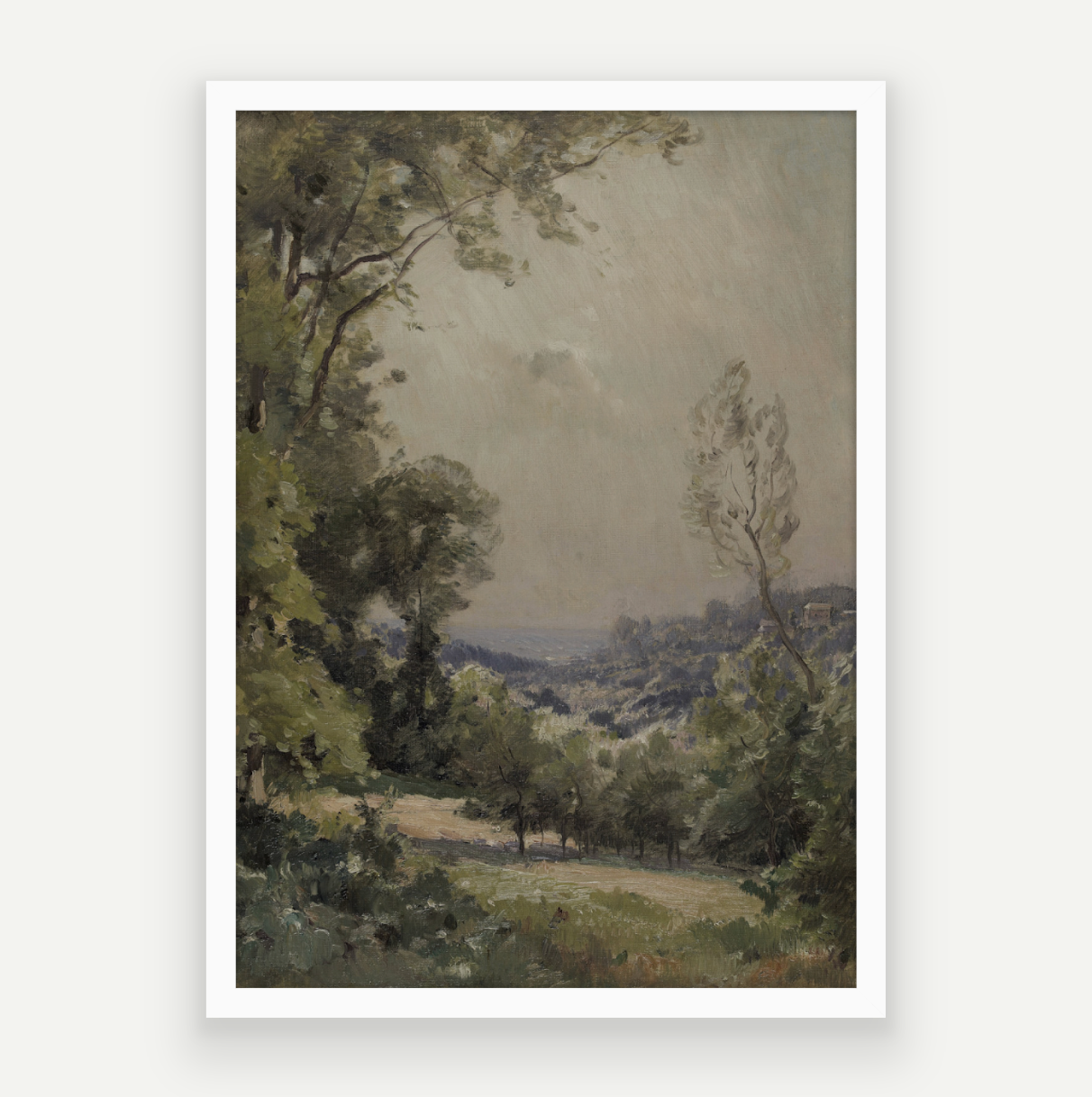 Forest View