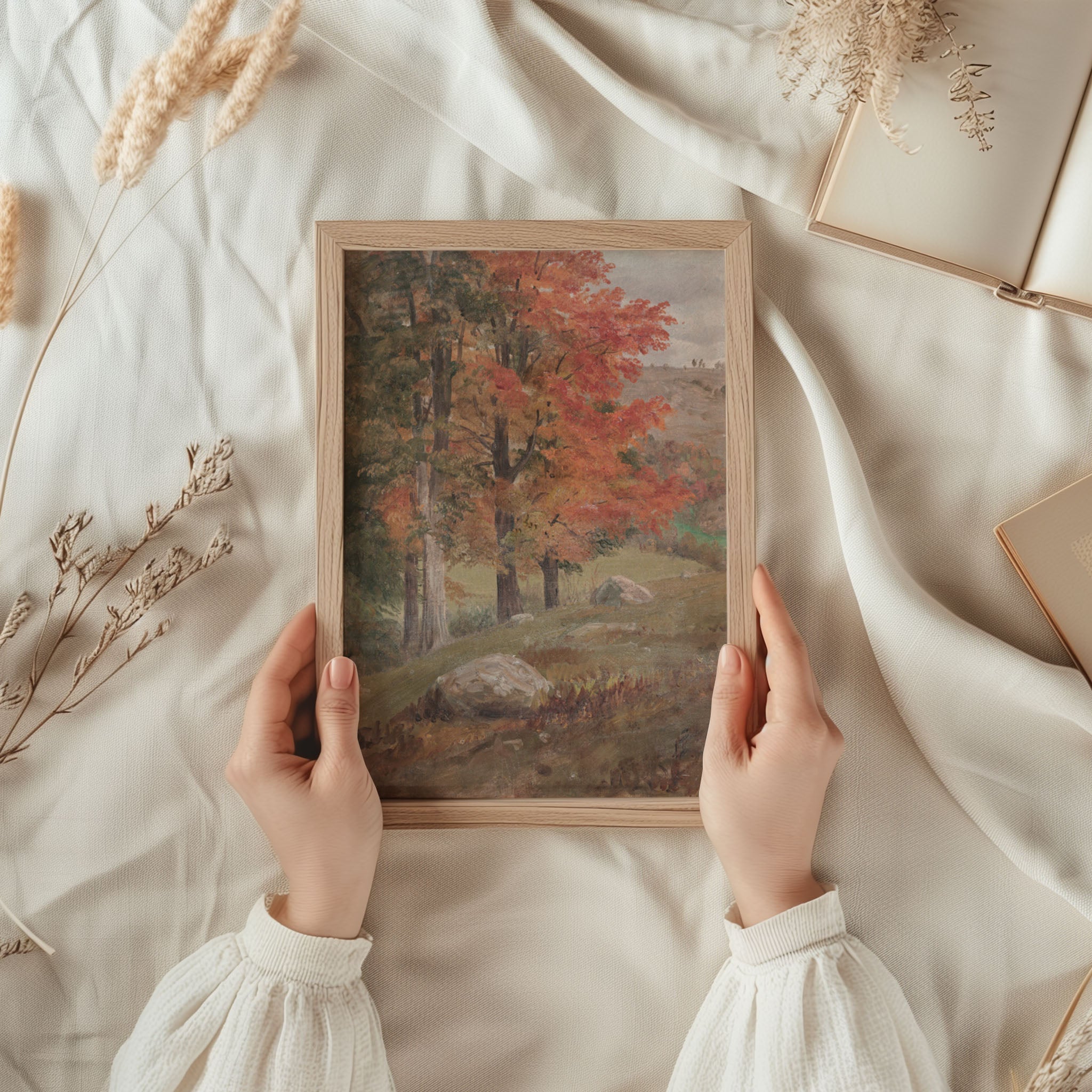 Fall View