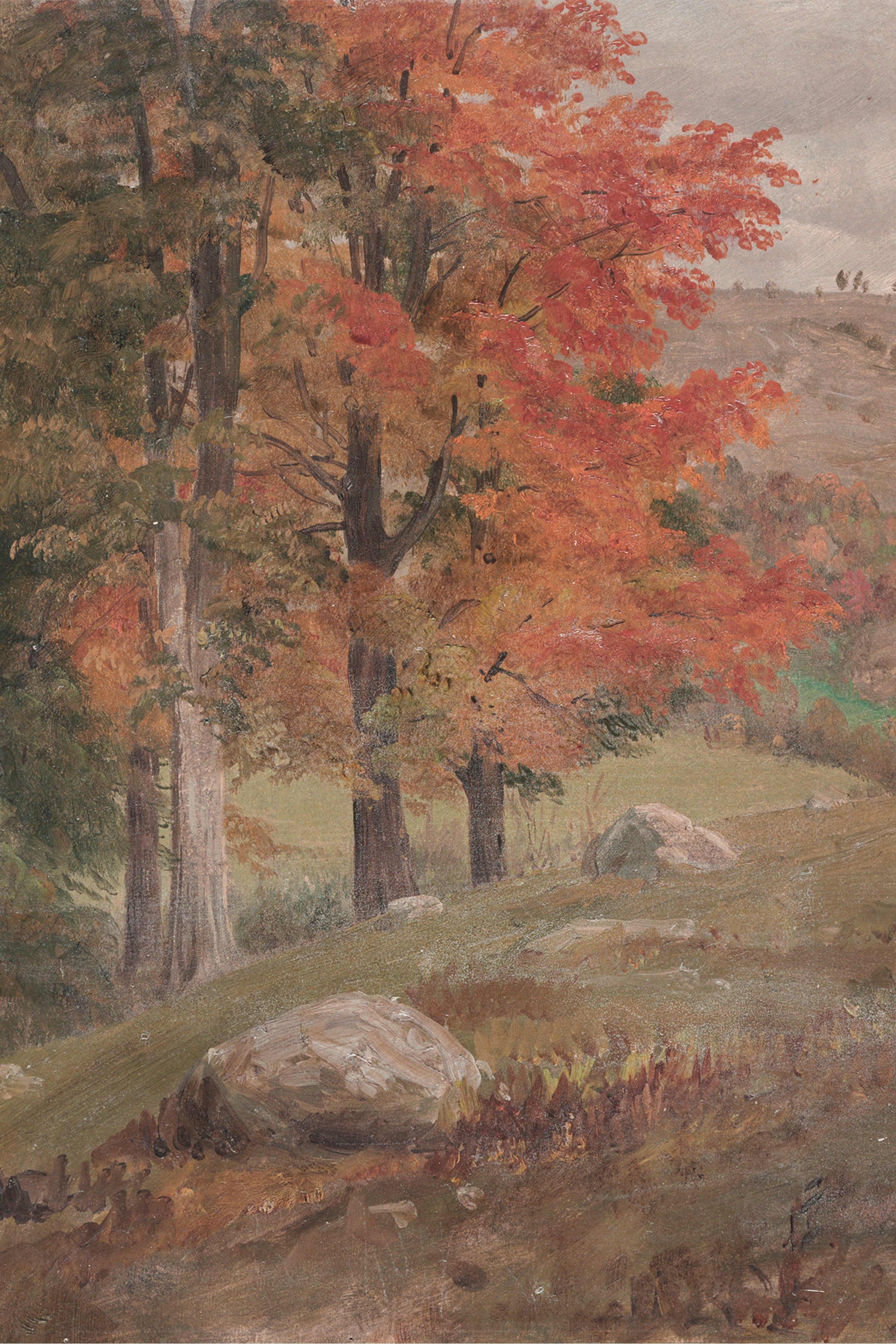 Fall View