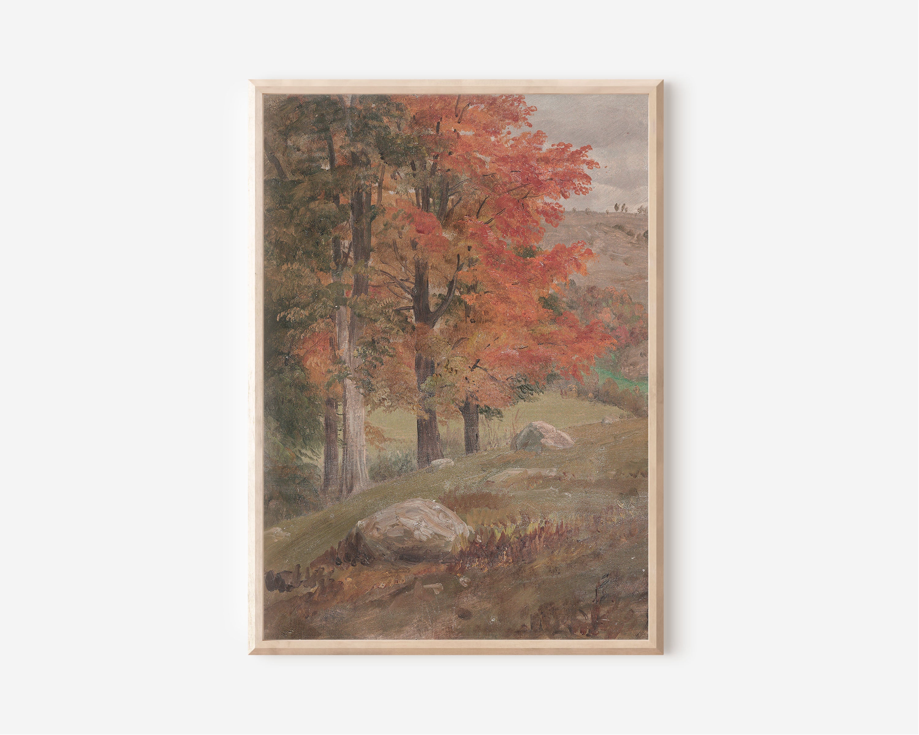 Fall View