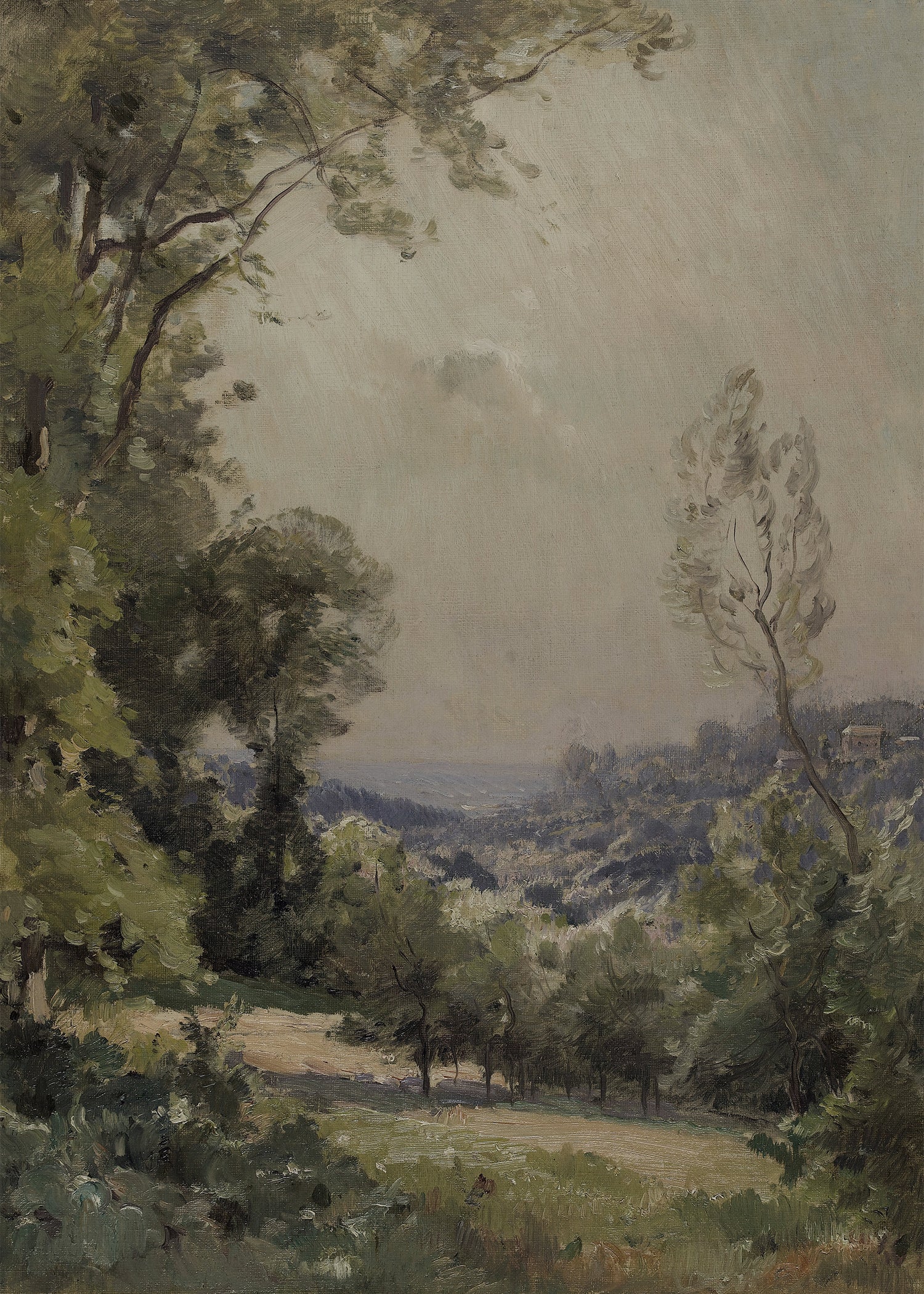 Forest View