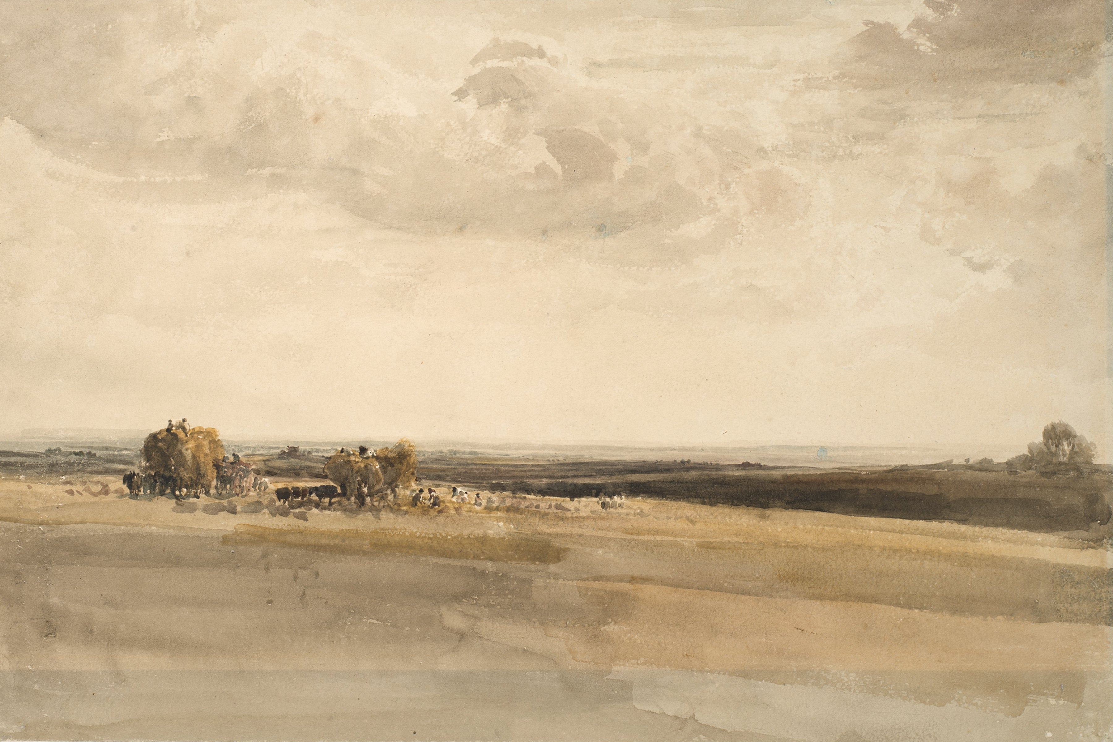 Harvest Scene