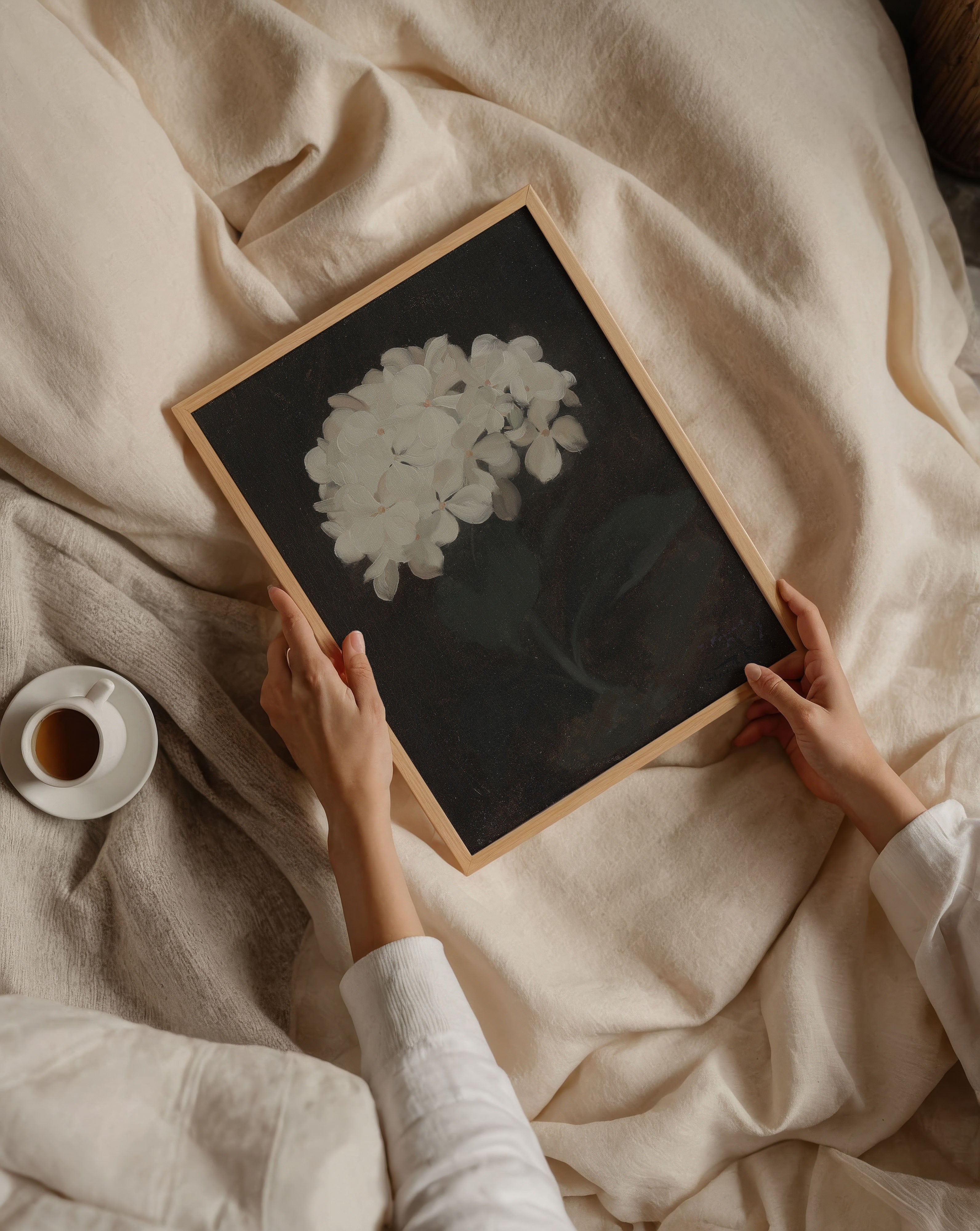 Hydrangea