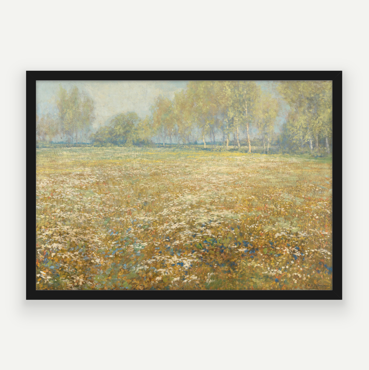 Meadow in Bloom