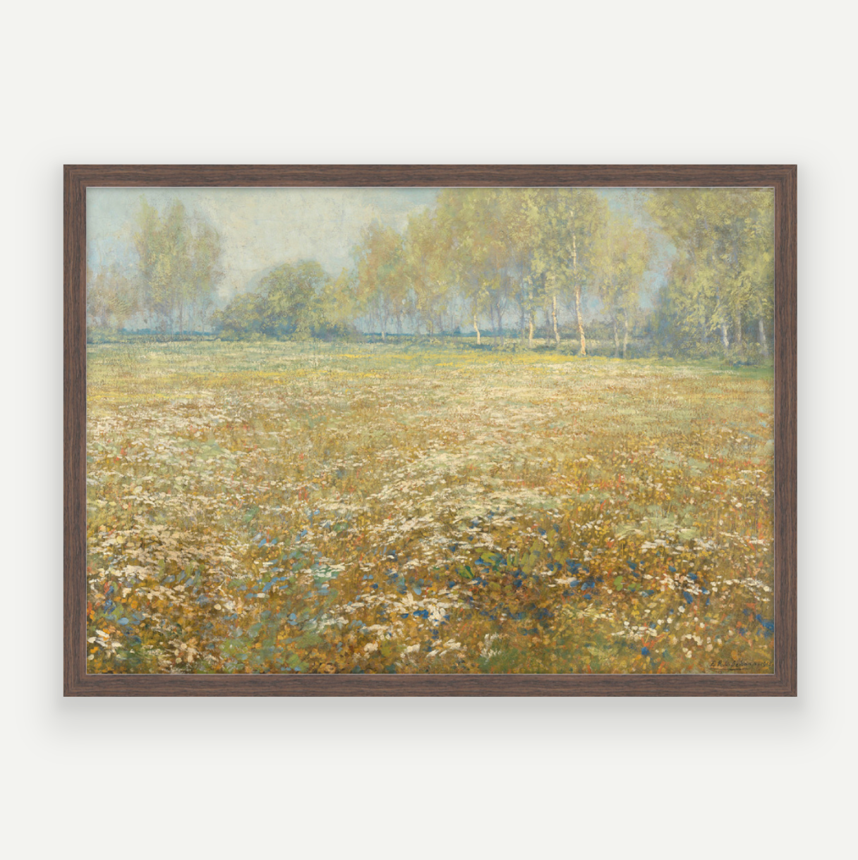 Meadow in Bloom