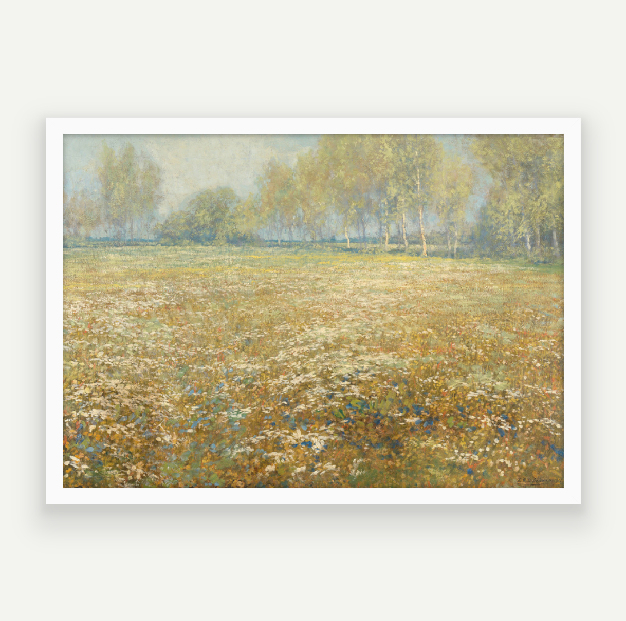 Meadow in Bloom