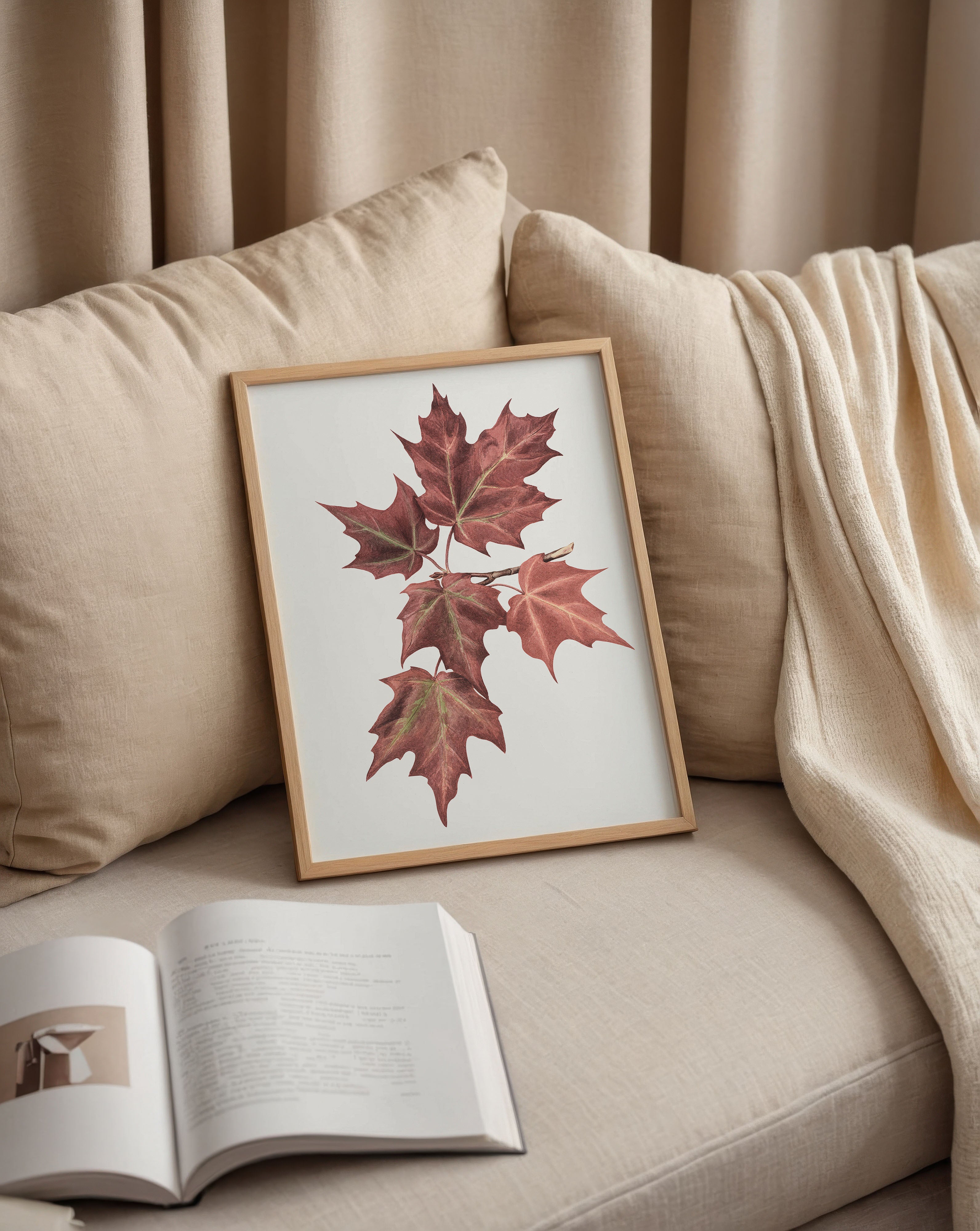 Maple Leaves