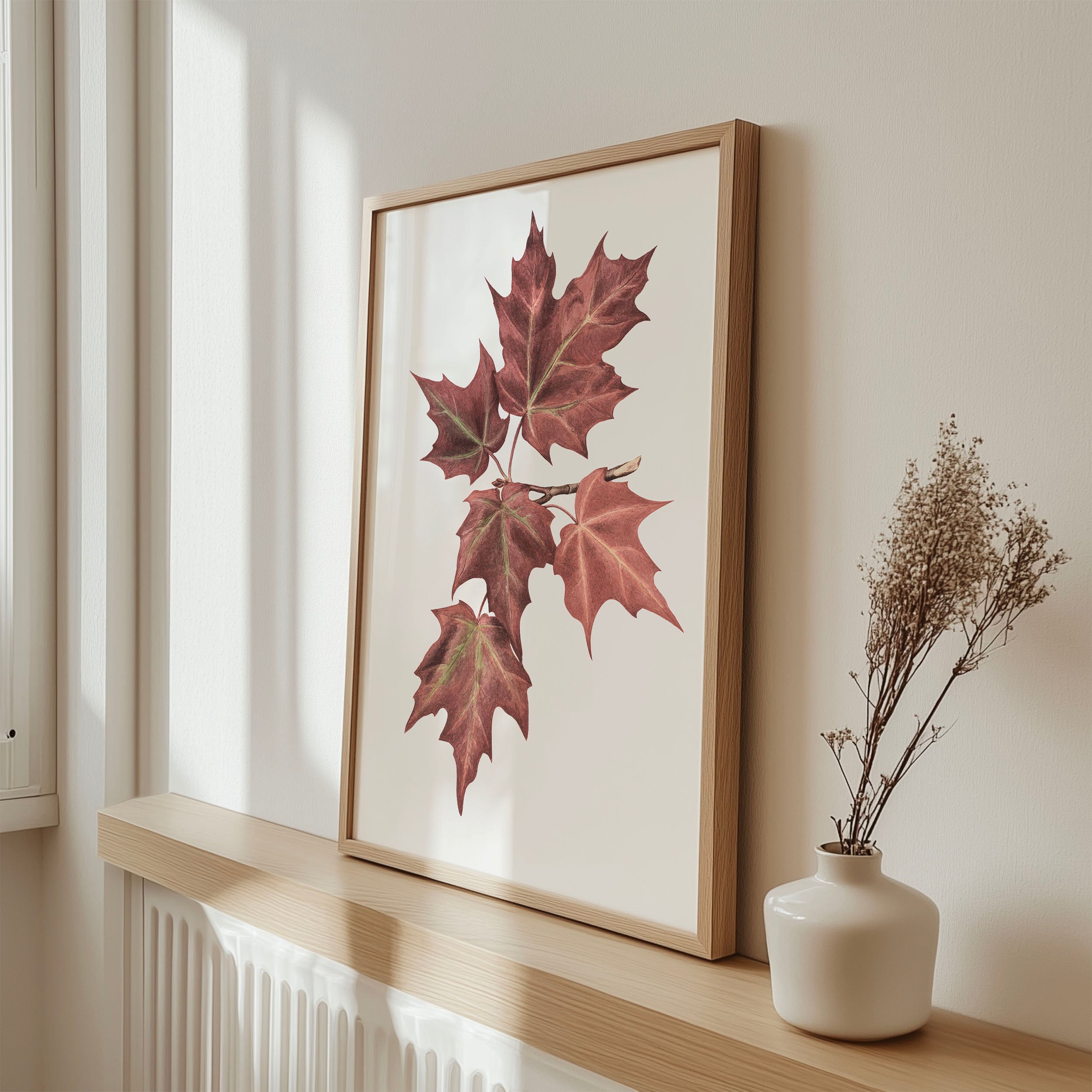 Maple Leaves