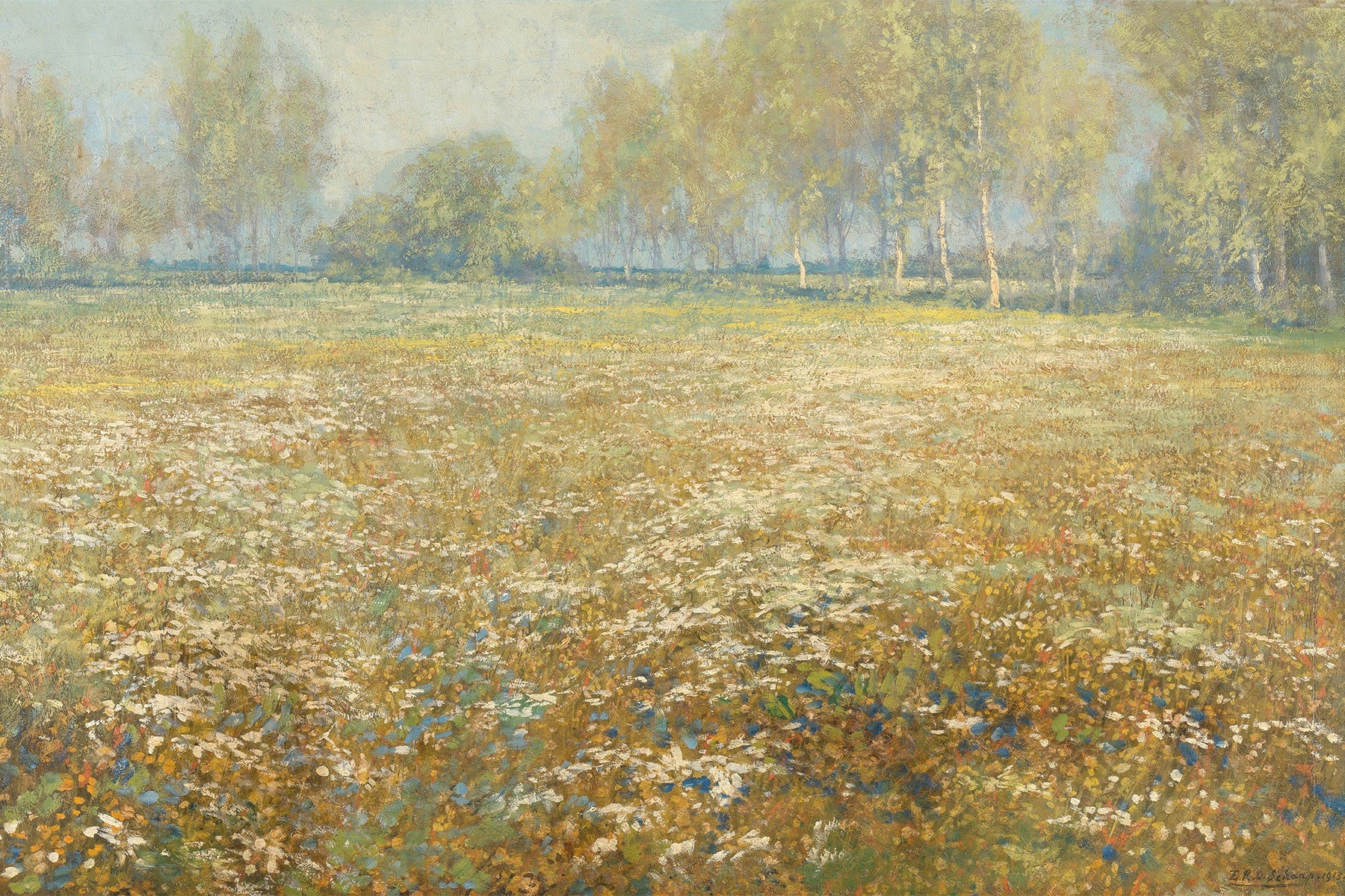 Meadow in Bloom