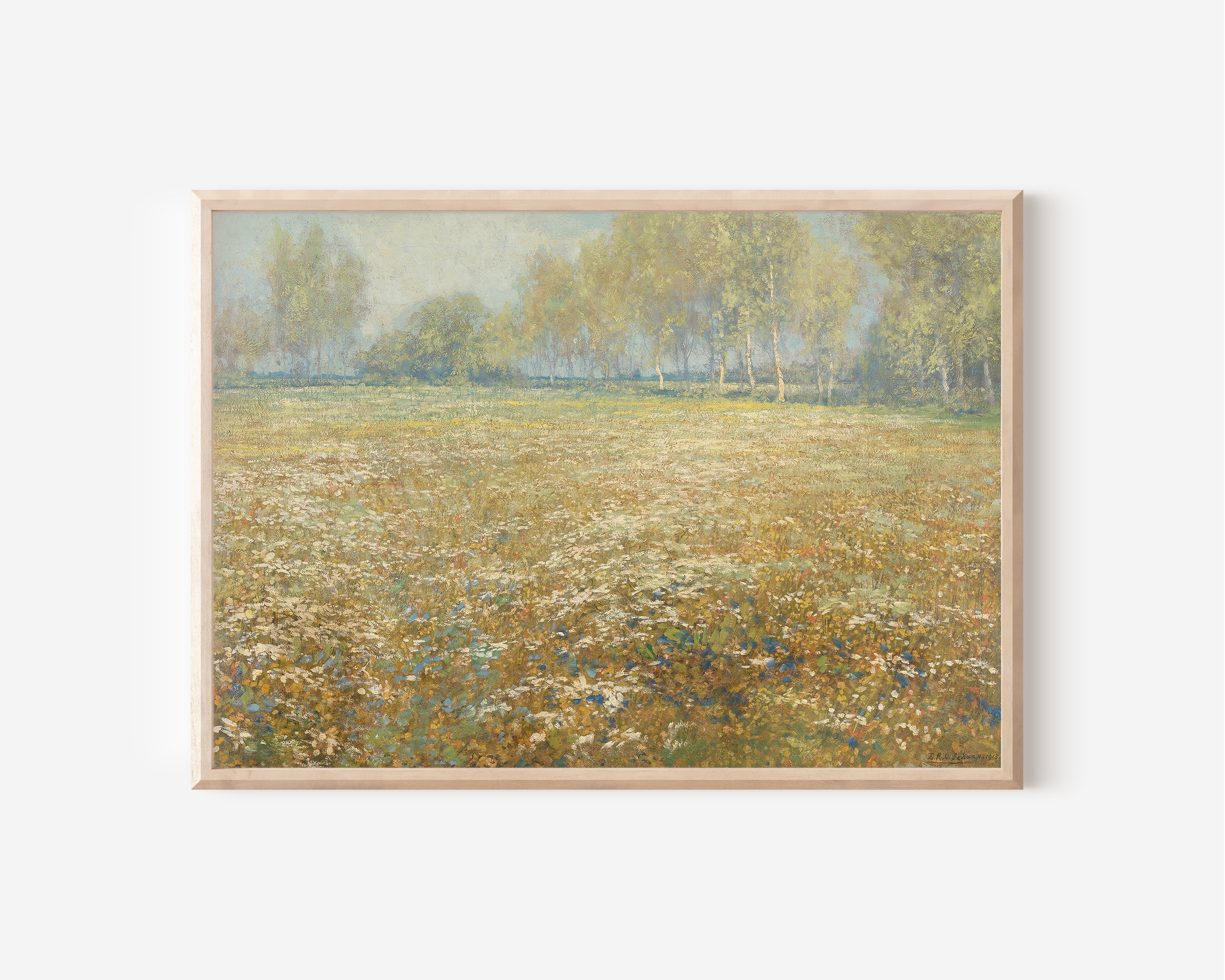 Meadow In Bloom