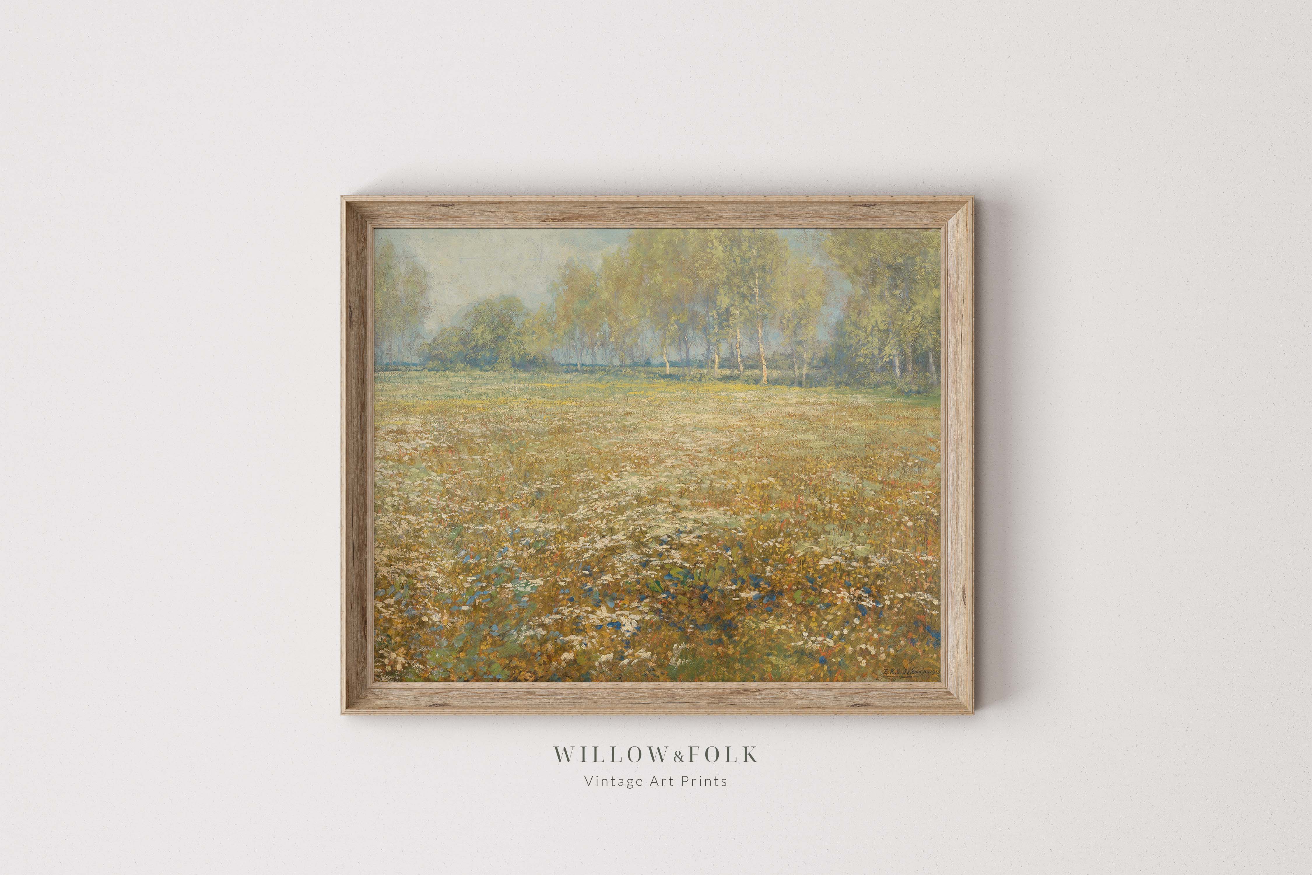 Meadow in Bloom