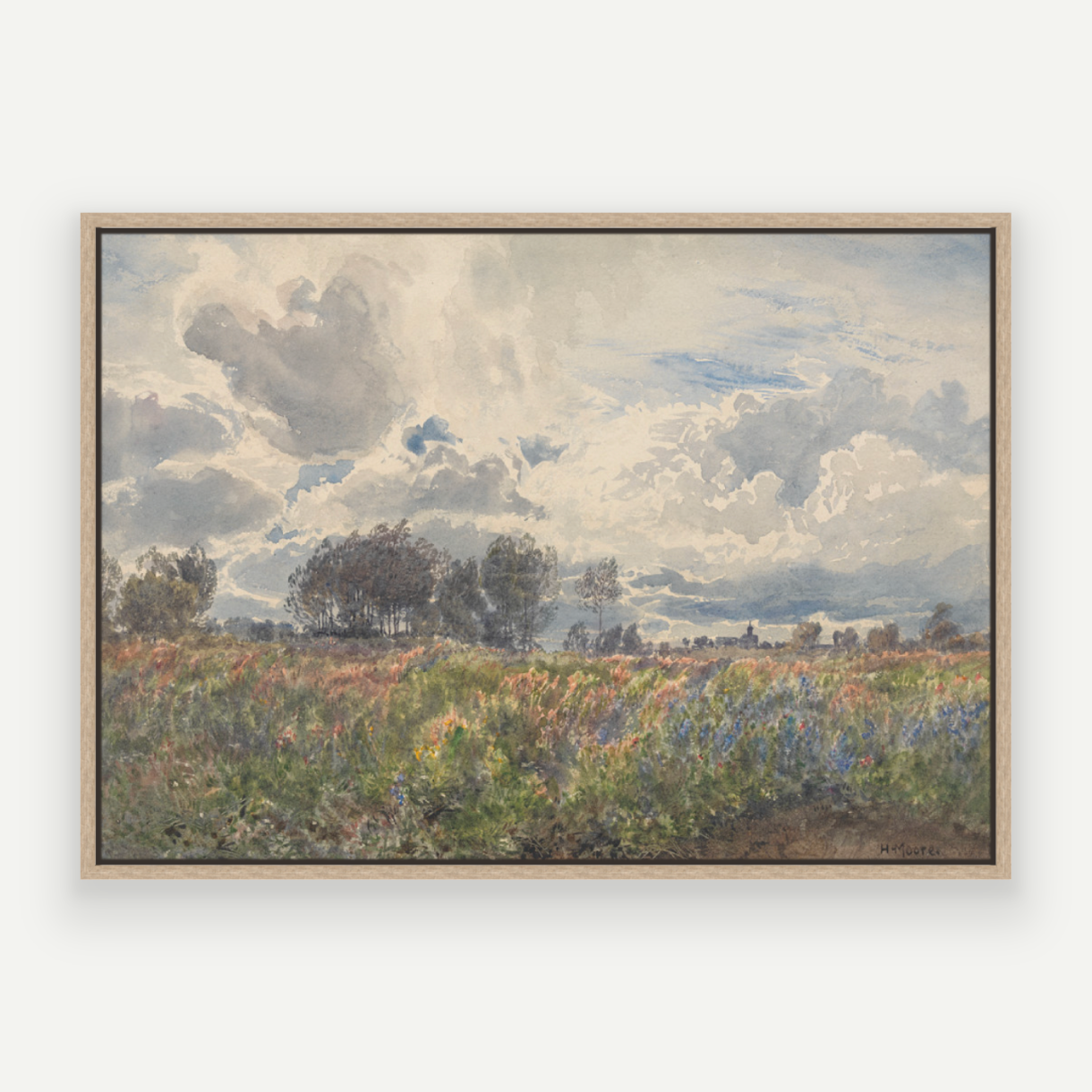 Blooming Fields