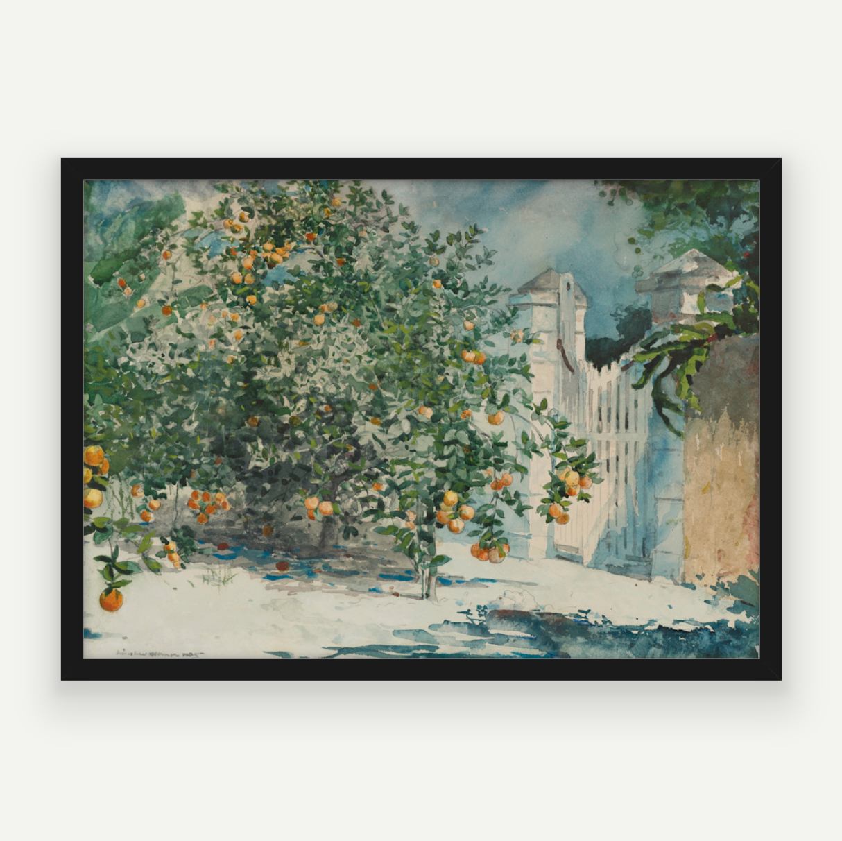 Orange Grove